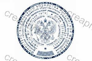 Нормативные требования к печатям и штампам